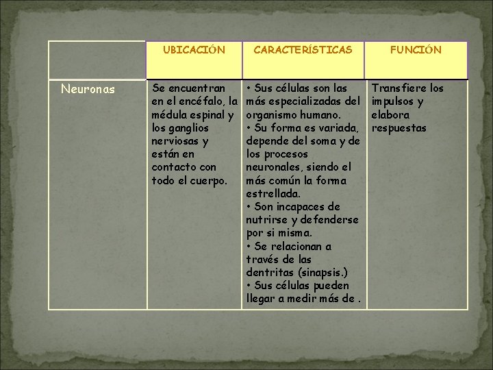 Neuronas UBICACIÓN CARACTERÍSTICAS Se encuentran en el encéfalo, la médula espinal y los ganglios Neuronas UBICACIÓN CARACTERÍSTICAS Se encuentran en el encéfalo, la médula espinal y los ganglios