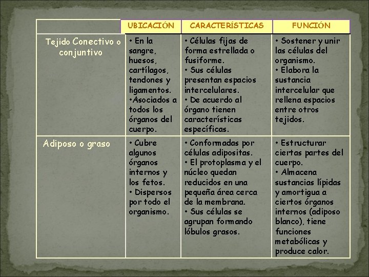 UBICACIÓN Tejido Conectivo o • En la sangre, conjuntivo huesos, cartílagos, tendones y ligamentos. UBICACIÓN Tejido Conectivo o • En la sangre, conjuntivo huesos, cartílagos, tendones y ligamentos.