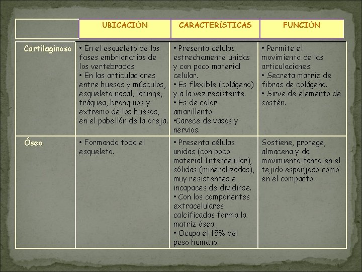 UBICACIÓN CARACTERÍSTICAS Cartilaginoso • En el esqueleto de las Óseo FUNCIÓN • Presenta células UBICACIÓN CARACTERÍSTICAS Cartilaginoso • En el esqueleto de las Óseo FUNCIÓN • Presenta células