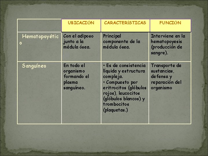 UBICACIÓN o CARACTERÍSTICAS FUNCIÓN Hematopoyétic Con el adiposo Principal componente de la médula ósea. UBICACIÓN o CARACTERÍSTICAS FUNCIÓN Hematopoyétic Con el adiposo Principal componente de la médula ósea.