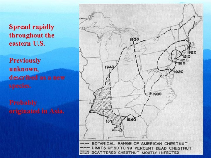 Spread rapidly throughout the eastern U. S. Previously unknown, described as a new species. Spread rapidly throughout the eastern U. S. Previously unknown, described as a new species.