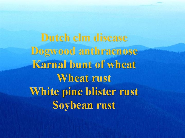 Dutch elm disease Dogwood anthracnose Karnal bunt of wheat Wheat rust White pine blister Dutch elm disease Dogwood anthracnose Karnal bunt of wheat Wheat rust White pine blister