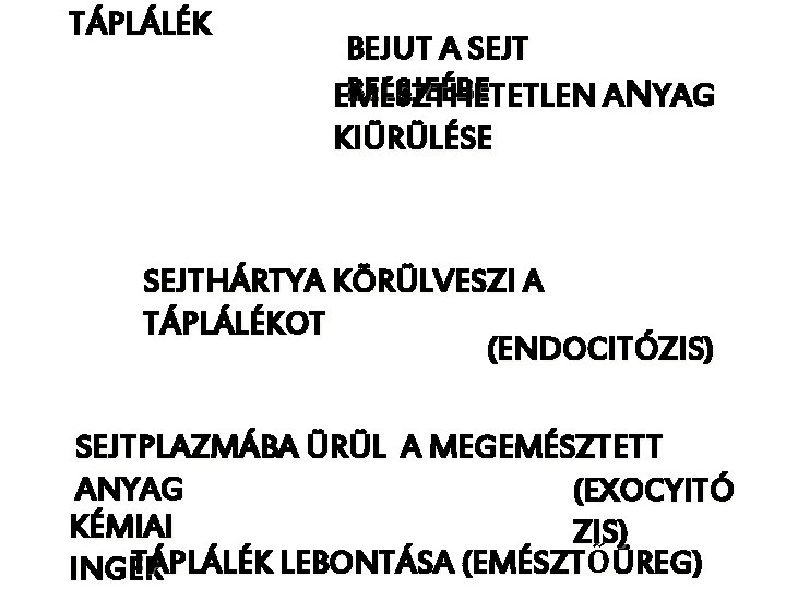 TÁPLÁLÉK BEJUT A SEJT BELSJEÉBE EMÉSZTHETETLEN A NYAG KIÜRÜLÉSE SEJTHÁRTYA KÖRÜLVESZI A TÁPLÁLÉKOT (ENDOCITÓZIS)