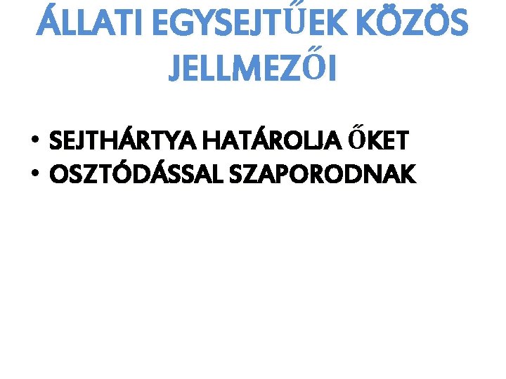 ÁLLATI EGYSEJTŰEK KÖZÖS JELLMEZŐI • SEJTHÁRTYA HATÁROLJA ŐKET • OSZTÓDÁSSAL SZAPORODNAK 