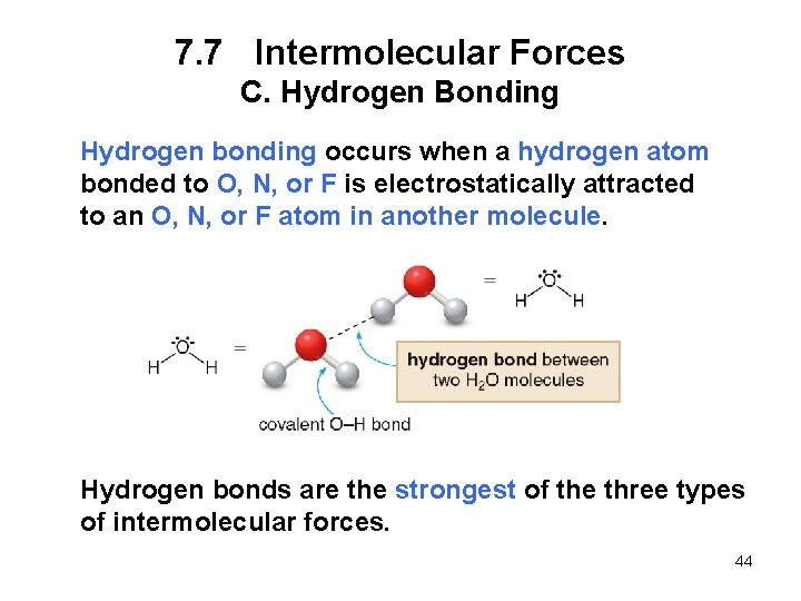 7. 7 Intermolecular Forces C. Hydrogen Bonding Hydrogen bonding occurs when a hydrogen atom