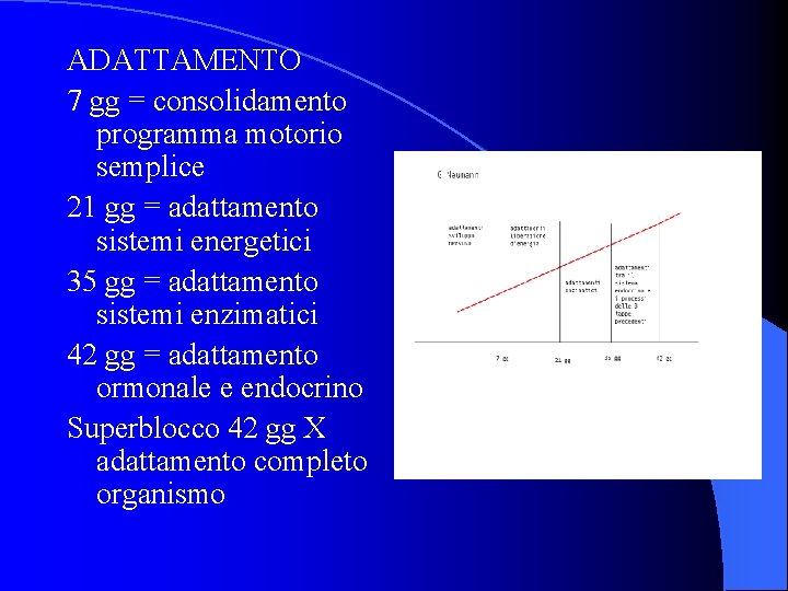 ADATTAMENTO 7 gg = consolidamento programma motorio semplice 21 gg = adattamento sistemi energetici