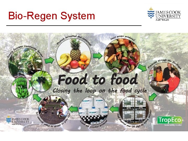 Bio-Regen System 
