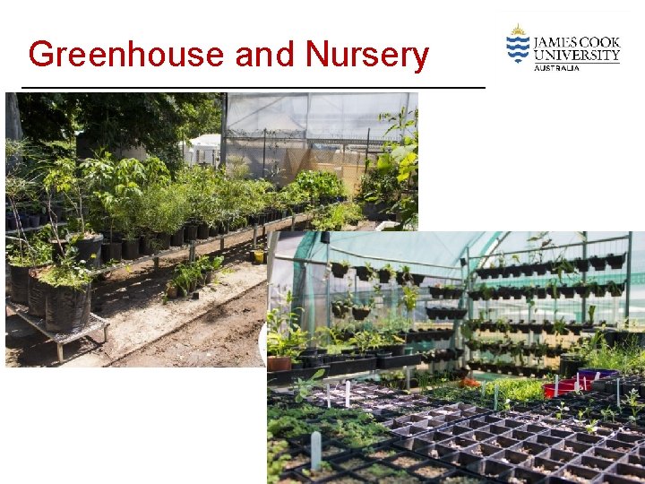 Greenhouse and Nursery 