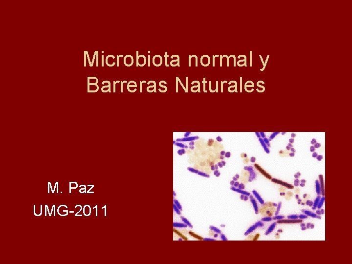 Microbiota normal y Barreras Naturales M. Paz UMG-2011 