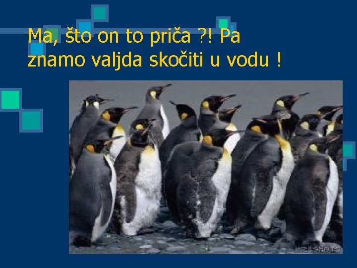 Ma, što on to priča ? ! Pa znamo valjda skočiti u vodu !