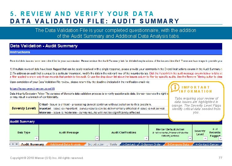 5. REVIEW AND VERIFY YOUR DATA VALIDATION FILE: AUDIT SUMMARY The Data Validation File