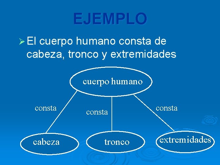 EJEMPLO Ø El cuerpo humano consta de cabeza, tronco y extremidades cuerpo humano consta