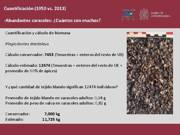 Cuantificación (1950 vs. 2013) -Abundantes caracoles: ¿Cuántos son muchos? Cuantificación y cálculo de biomasa