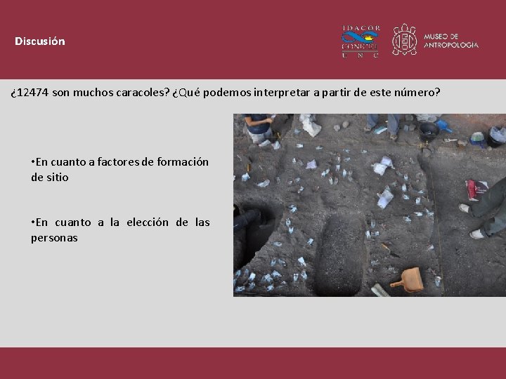 Discusión ¿ 12474 son muchos caracoles? ¿Qué podemos interpretar a partir de este número?