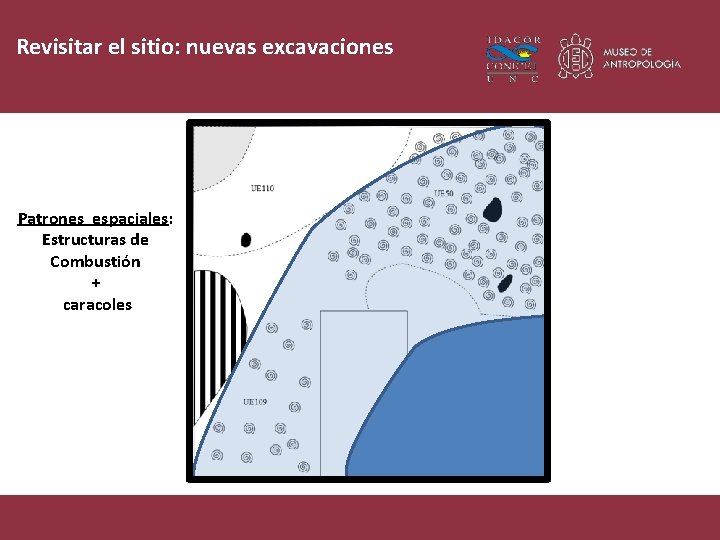 Revisitar el sitio: nuevas excavaciones Patrones espaciales: Estructuras de Combustión + caracoles 