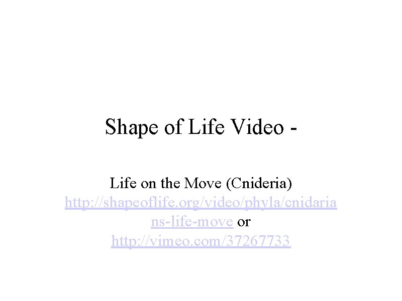 Shape of Life Video Life on the Move (Cnideria) http: //shapeoflife. org/video/phyla/cnidaria ns-life-move or