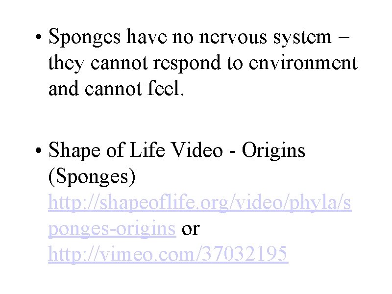  • Sponges have no nervous system – they cannot respond to environment and