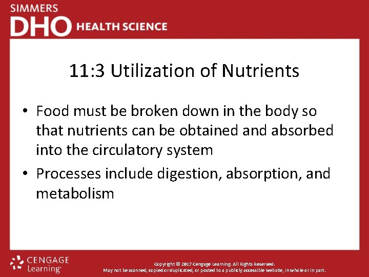 11: 3 Utilization of Nutrients • Food must be broken down in the body