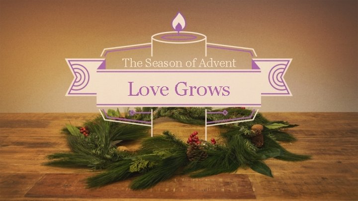 The Season of Advent Love Grows 