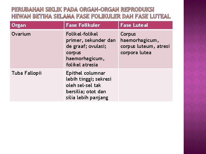 Organ Fase Folikuler Fase Luteal Ovarium Folikel-folikel primer, sekunder dan de graaf; ovulasi; corpus