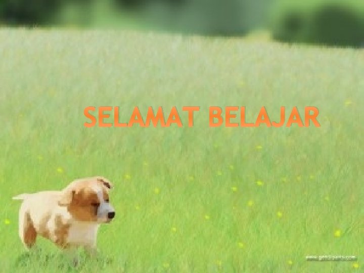 SELAMAT BELAJAR 