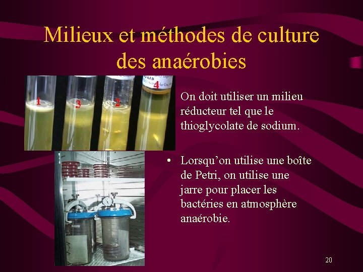 Milieux et méthodes de culture des anaérobies • On doit utiliser un milieu réducteur
