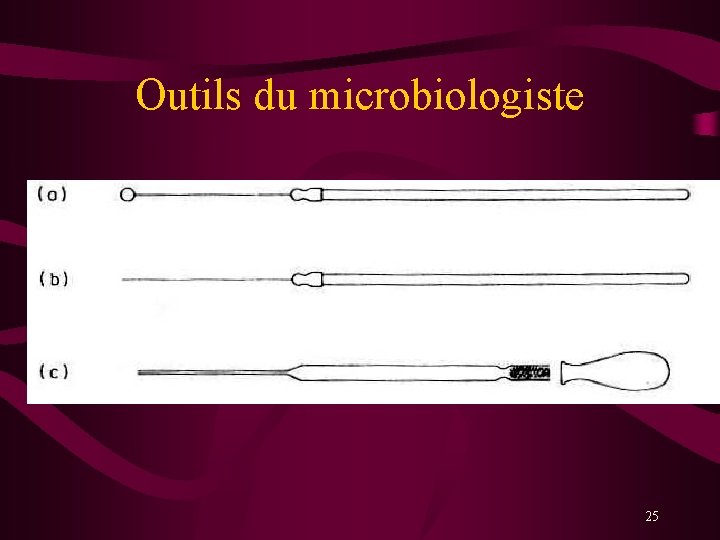 Outils du microbiologiste 25 