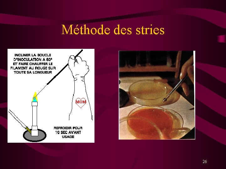 Méthode des stries 26 