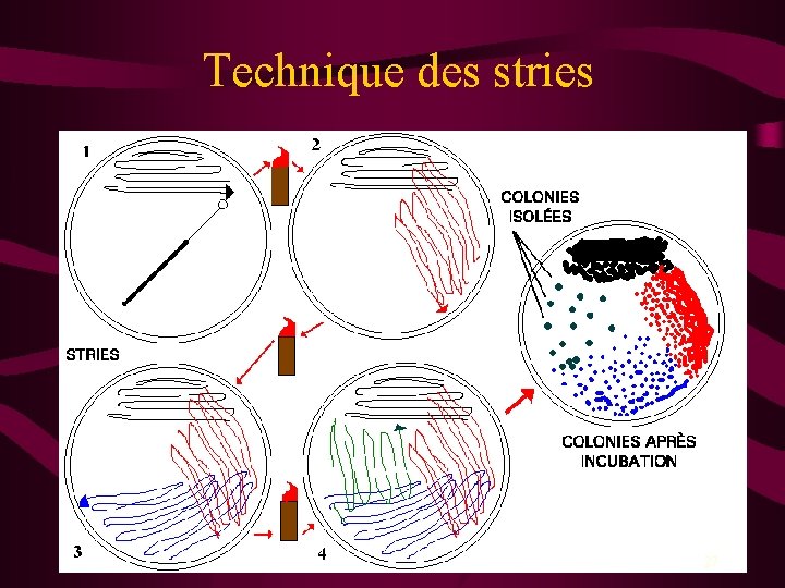 Technique des stries 27 
