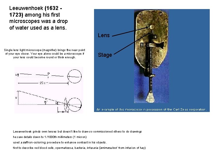 Leeuwenhoek (1632 - 1723) among his first microscopes was a drop of water used Leeuwenhoek (1632 - 1723) among his first microscopes was a drop of water used