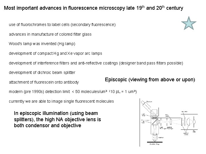 Most important advances in fluorescence microscopy late 19 th and 20 th century use