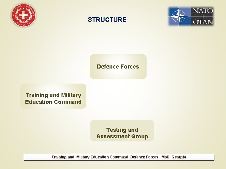 STRUCTURE Defence Forces Training and Military Education Command Testing and Assessment Group Training and