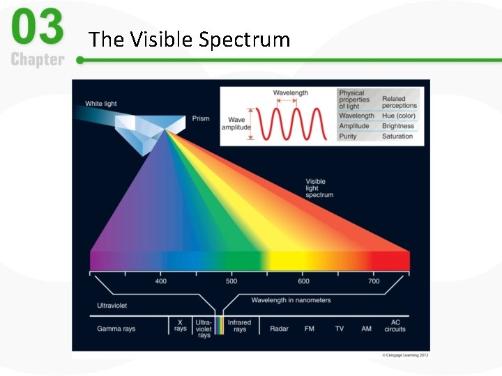 The Visible Spectrum 