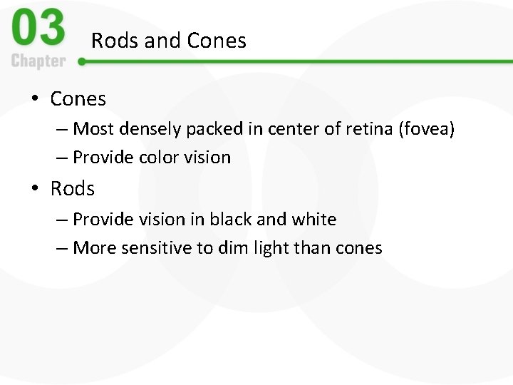 Rods and Cones • Cones – Most densely packed in center of retina (fovea)