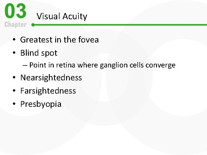 Visual Acuity • Greatest in the fovea • Blind spot – Point in retina