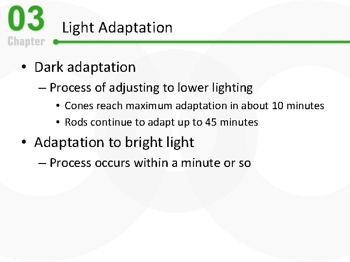 Light Adaptation • Dark adaptation – Process of adjusting to lower lighting • Cones