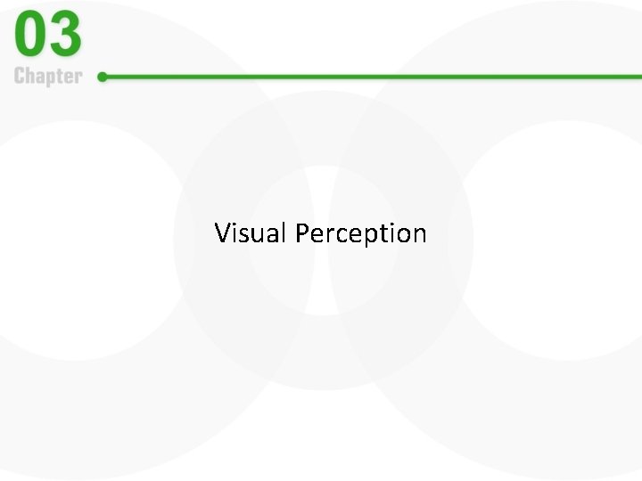 Visual Perception 