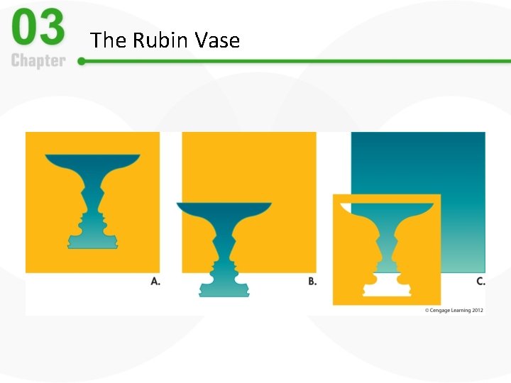 The Rubin Vase 