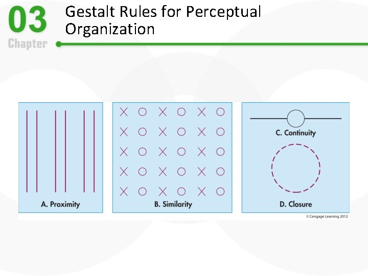 Gestalt Rules for Perceptual Organization 