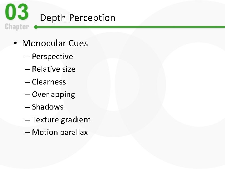 Depth Perception • Monocular Cues – Perspective – Relative size – Clearness – Overlapping