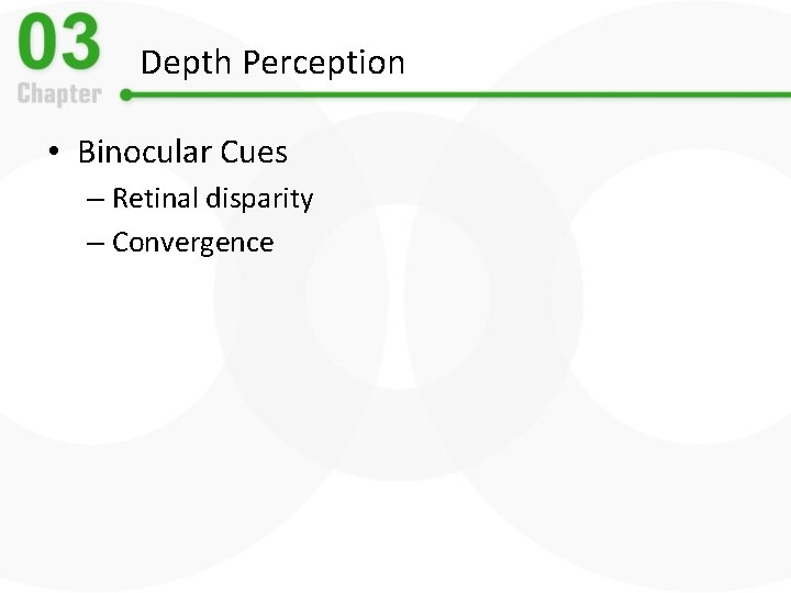 Depth Perception • Binocular Cues – Retinal disparity – Convergence 
