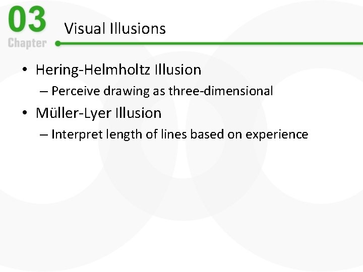 Visual Illusions • Hering-Helmholtz Illusion – Perceive drawing as three-dimensional • Müller-Lyer Illusion –