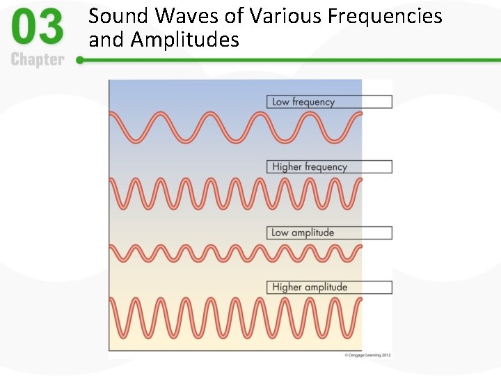 Sound Waves of Various Frequencies and Amplitudes 