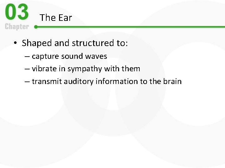 The Ear • Shaped and structured to: – capture sound waves – vibrate in