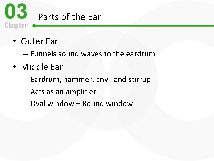 Parts of the Ear • Outer Ear – Funnels sound waves to the eardrum