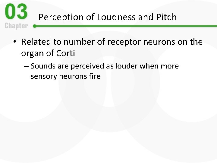 Perception of Loudness and Pitch • Related to number of receptor neurons on the