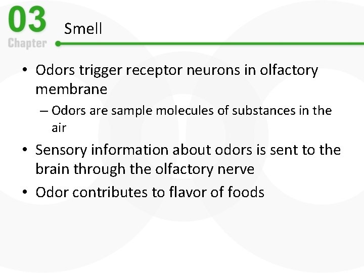 Smell • Odors trigger receptor neurons in olfactory membrane – Odors are sample molecules