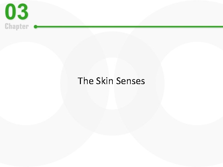 The Skin Senses 