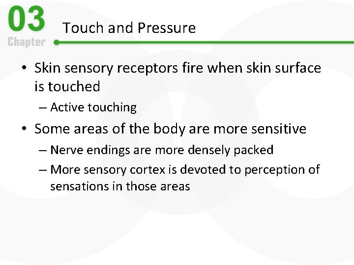Touch and Pressure • Skin sensory receptors fire when skin surface is touched –