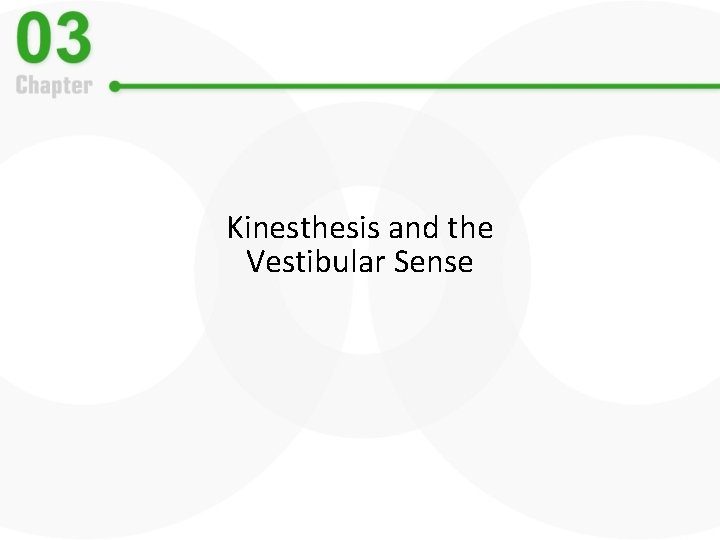 Kinesthesis and the Vestibular Sense 